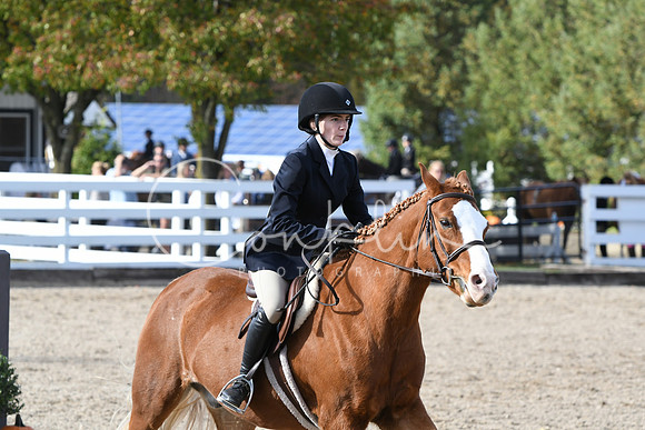 HSM_2570