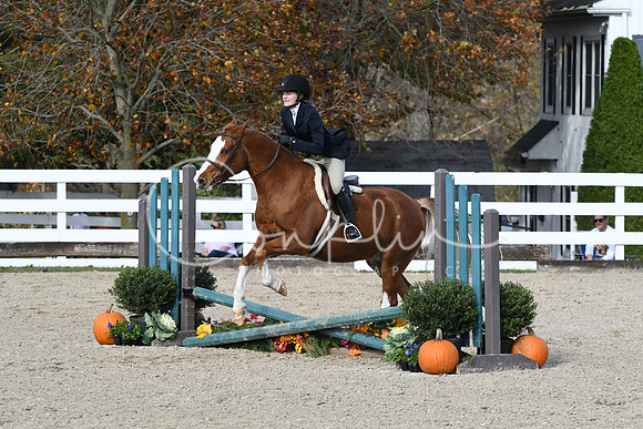 HSM_2571