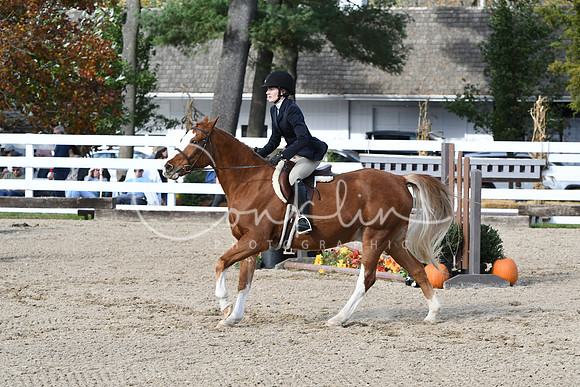 HSM_2572