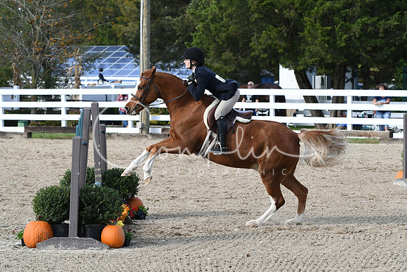 HSM_2573