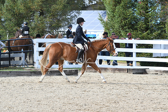 HSM_2574