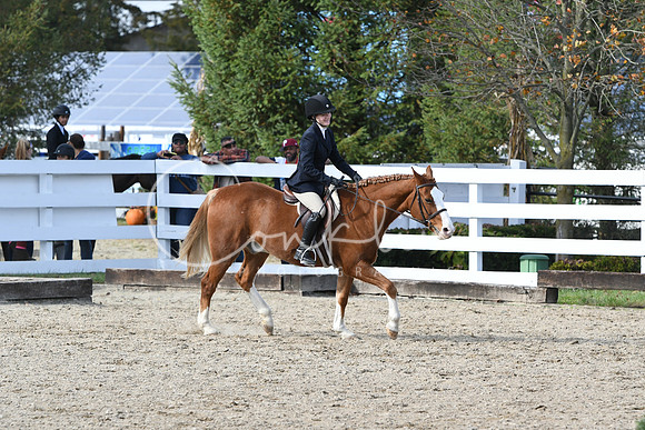 HSM_2575