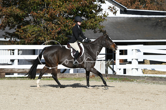 HSM_2663