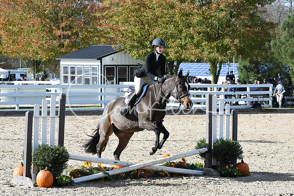 HSM_2667