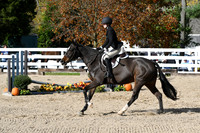 HSM_2672