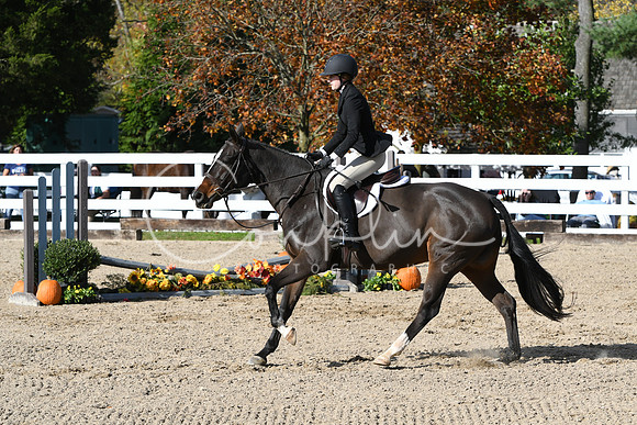 HSM_2672