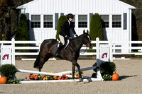 HSM_2719