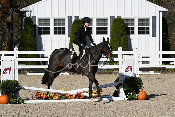 HSM_2719