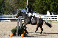 HSM_2673