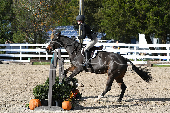 HSM_2673