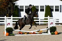 HSM_2718