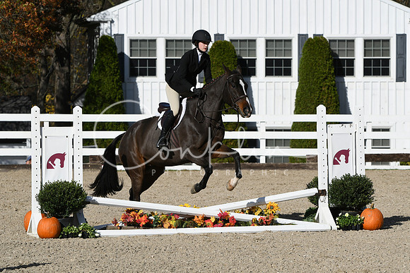 HSM_2718