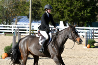 HSM_2729