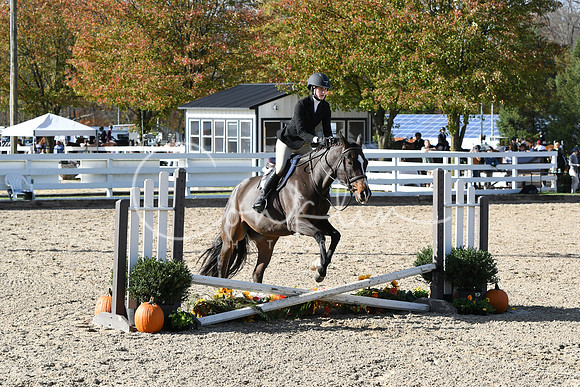 HSM_2728