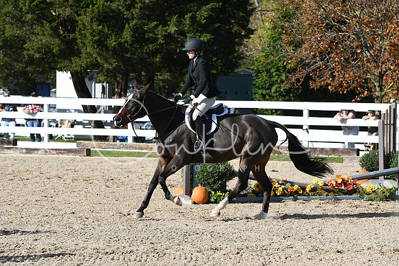 HSM_2731