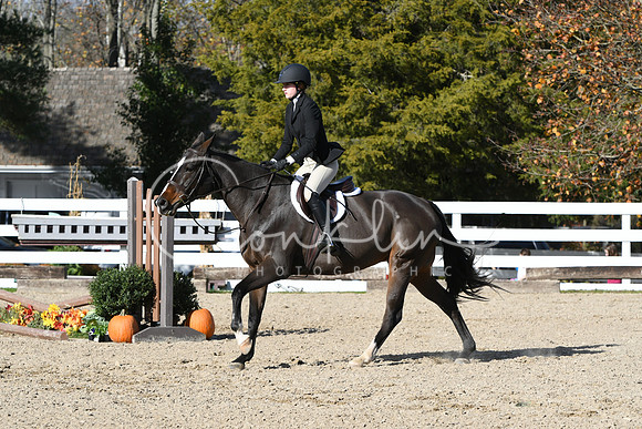 HSM_2772
