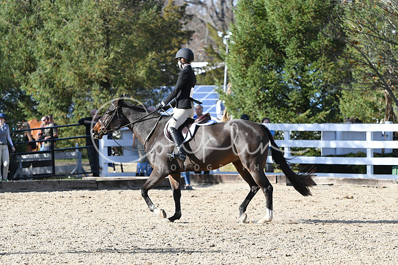 HSM_2775