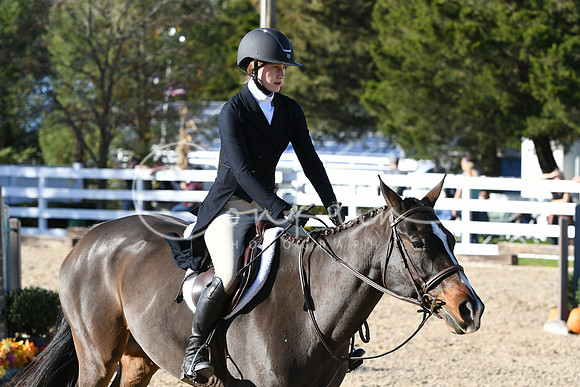 HSM_2845