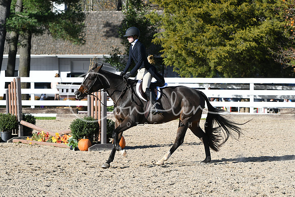 HSM_2847