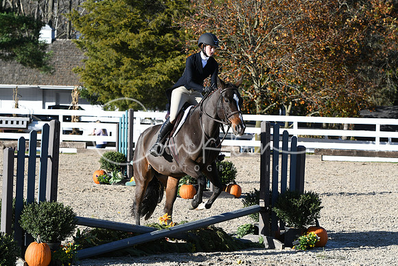 HSM_3032