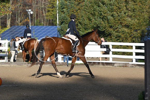 HSM_1138