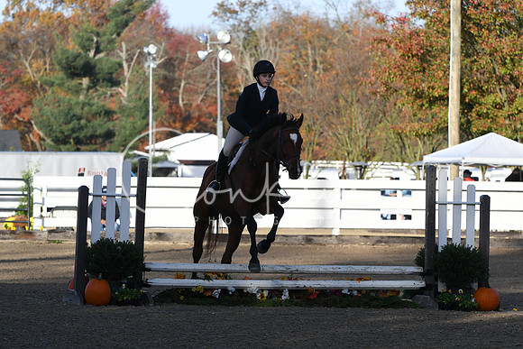 HSM_1145
