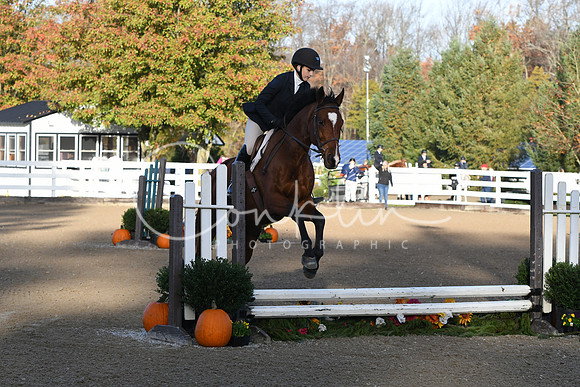 HSM_1146