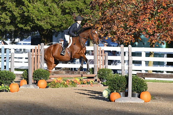 HSM_1194