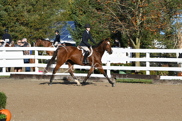 HSM_1245
