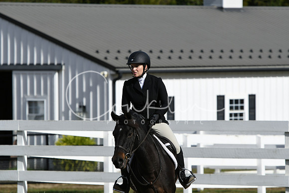 HSM_2311