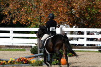 HSM_2312