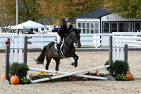 HSM_2313