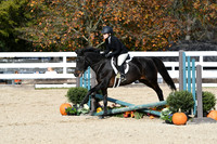 HSM_2315