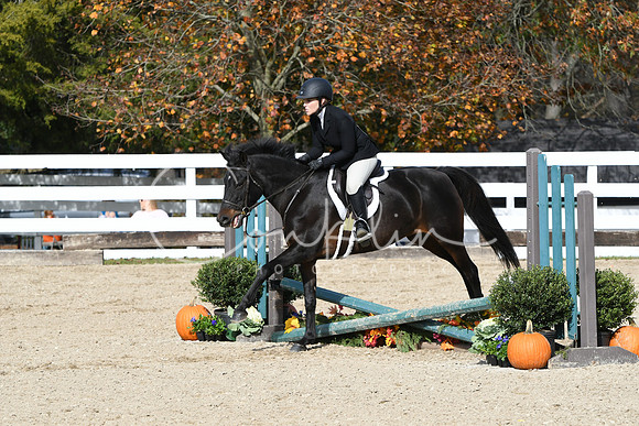 HSM_2315