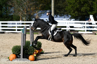HSM_2317