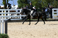 HSM_2413