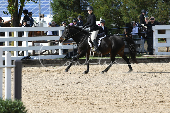 HSM_2413