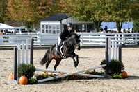 HSM_2417