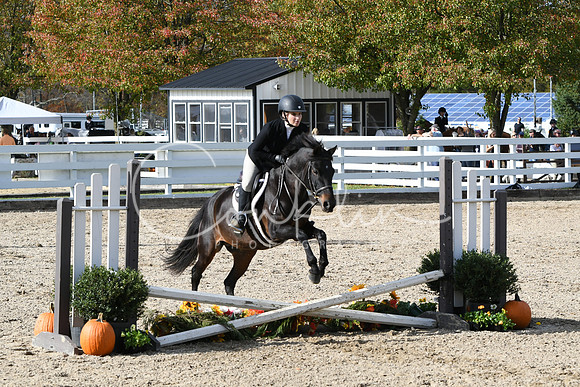 HSM_2417