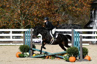 HSM_2419