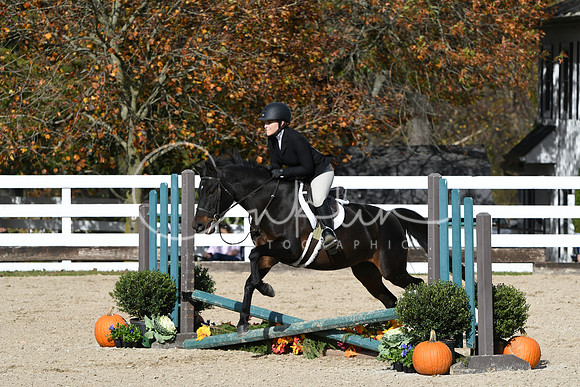 HSM_2419