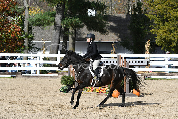 HSM_2420