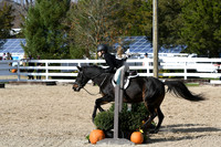 HSM_2421