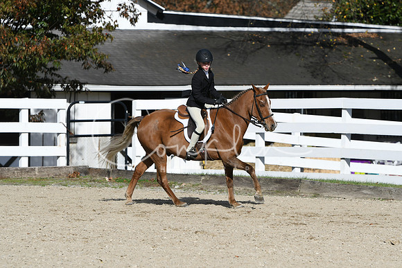 HSM_2648