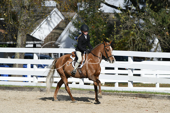 HSM_2650