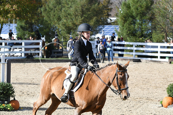 HSM_2652