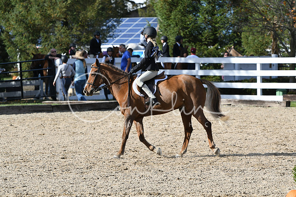 HSM_2660