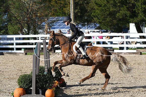 HSM_2706