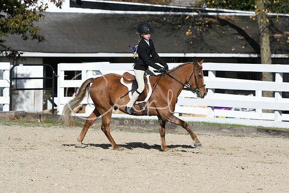 HSM_2707