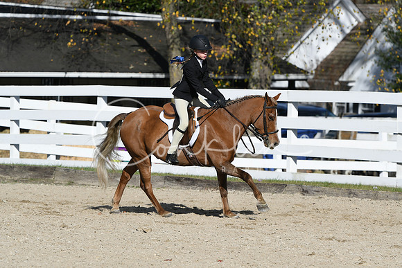 HSM_2708